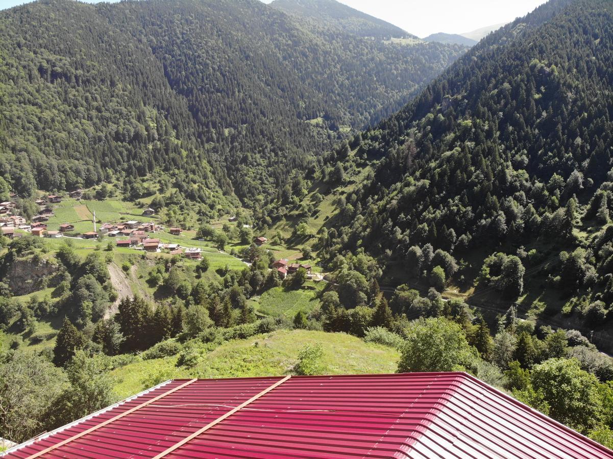 Badul Apart Lejlighedshotel Uzungöl Eksteriør billede